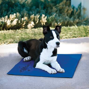 K&h cooling pad for hot sale dogs